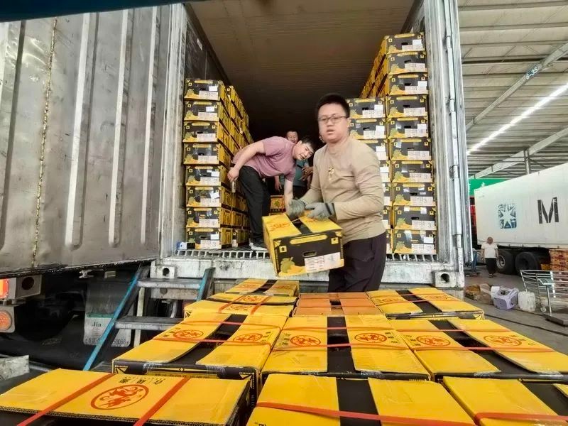 青岛榴莲批发价狂降！400万斤榴莲涌入，价格还会跌多少？  第3张