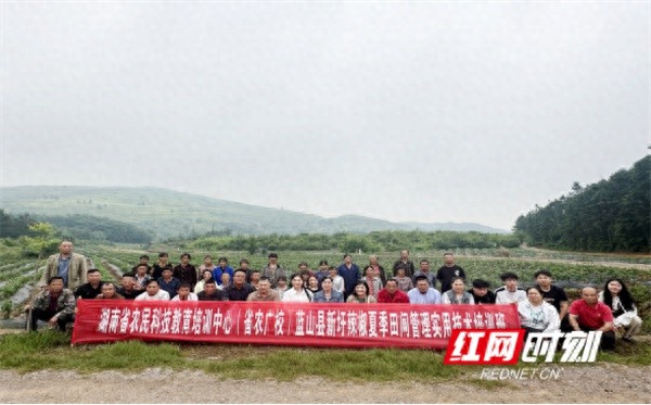 蓝山县新圩辣椒夏季田间管理实用技术培训班成功举办？