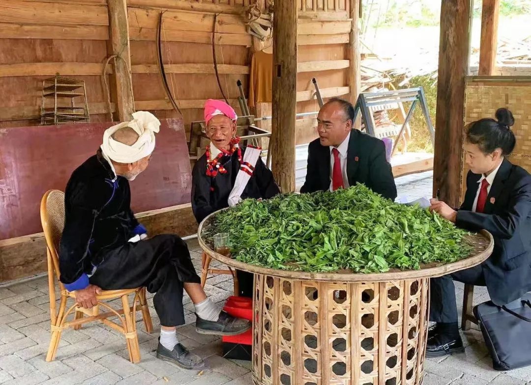 司法护航云茶芬芳！德昂族乡的茶与枫桥经验碰撞出啥火花？  第6张