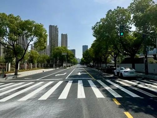 历经10个月精细化施工！七宝镇华中路为何能重焕生机？  第6张