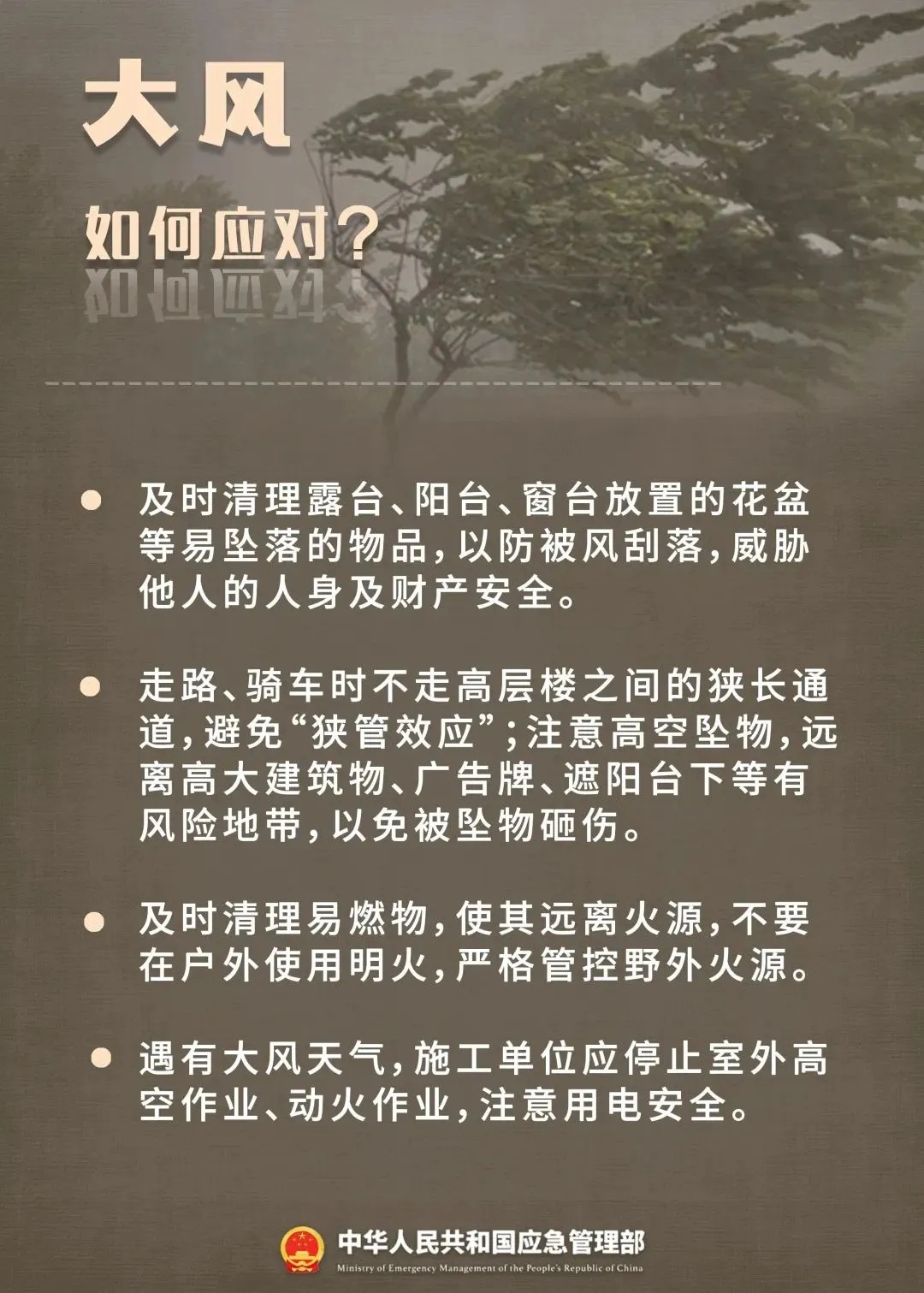 巢湖市发布强对流黄色预警！未来天气趋势如何？  第3张