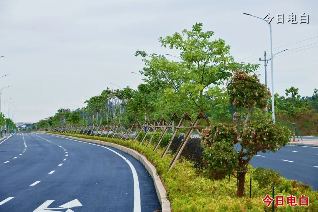 电白区登步路通车，春节出行不再堵！你准备好迎接畅通无阻的新年了吗？  第5张
