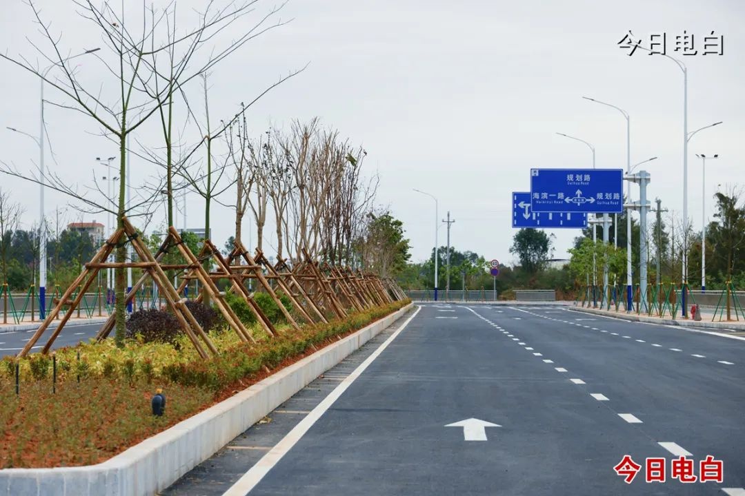 电白区登步路通车，春节出行不再堵！你准备好迎接畅通无阻的新年了吗？  第6张