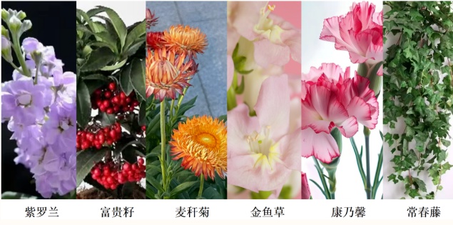 蛇年新春，处州公园变身梦幻花境！7742平方米花卉盛宴等你来赏  第4张