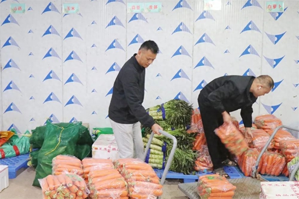 2025年春节，你的餐桌将如何丰盛？揭秘全县蔬菜供应大行动