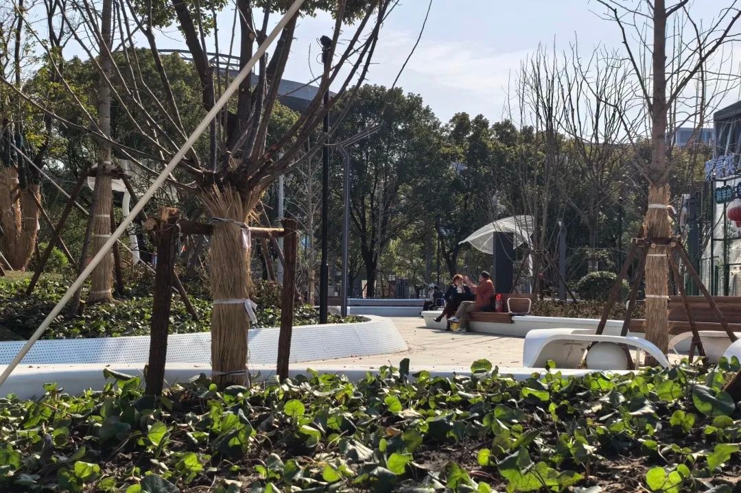 清莲公园改造后竟成廉政文化新地标！你还没去打卡吗？  第7张