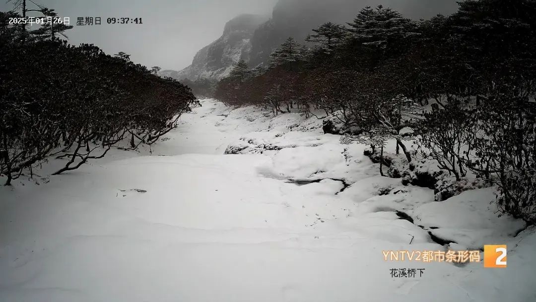 昆明气温暴跌16度！市民裹四件毛衣仍喊冷，瑞雪兆丰年你准备好了吗？  第11张