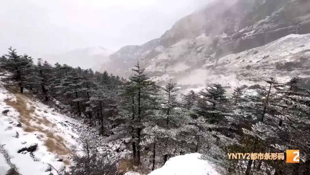 昆明气温暴跌16度！市民裹四件毛衣仍喊冷，瑞雪兆丰年你准备好了吗？  第3张