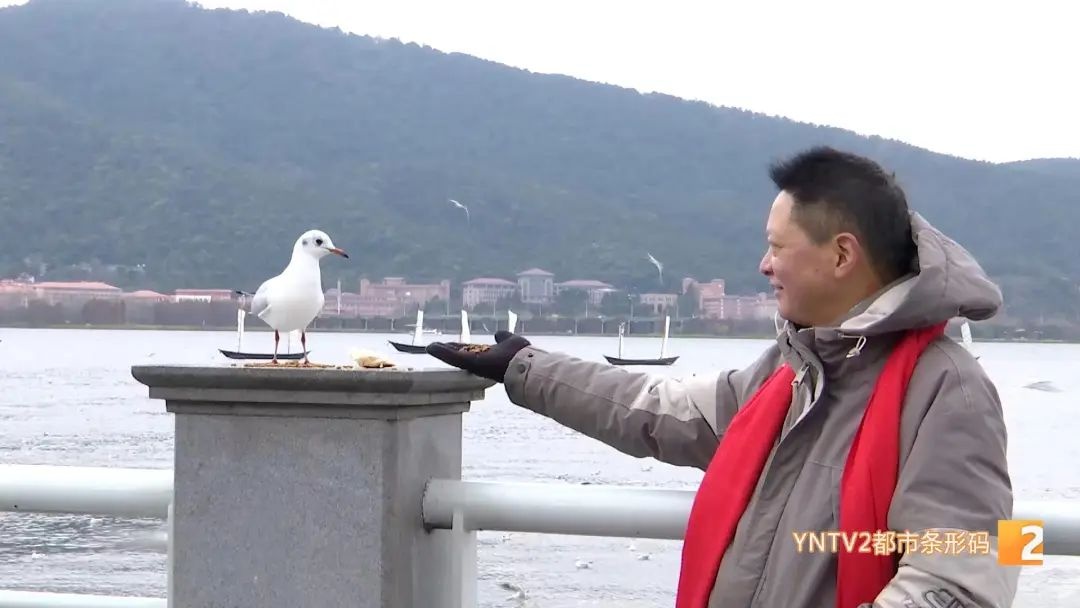 昆明气温暴跌16度！市民裹四件毛衣仍喊冷，瑞雪兆丰年你准备好了吗？  第6张