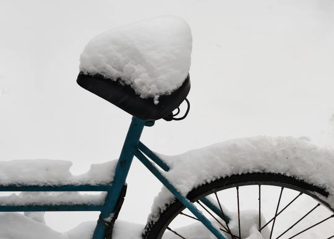 2025年初辽宁暴雪来袭！255站降雪平均6.2毫米，谁是降雪王者？  第2张