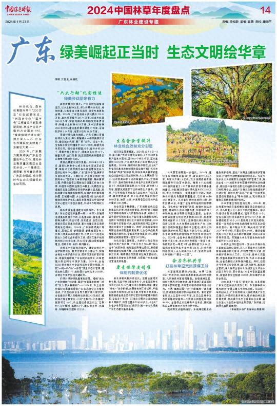 绿美广东生态建设大突破！2024年林分优化、森林抚育任务超额完成，你感受到了吗？  第1张