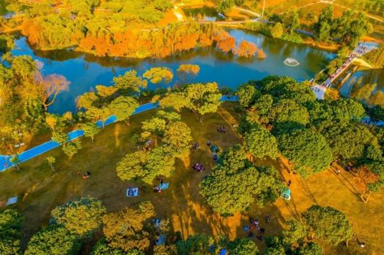 绿美广东生态建设大突破！2024年林分优化、森林抚育任务超额完成，你感受到了吗？  第2张