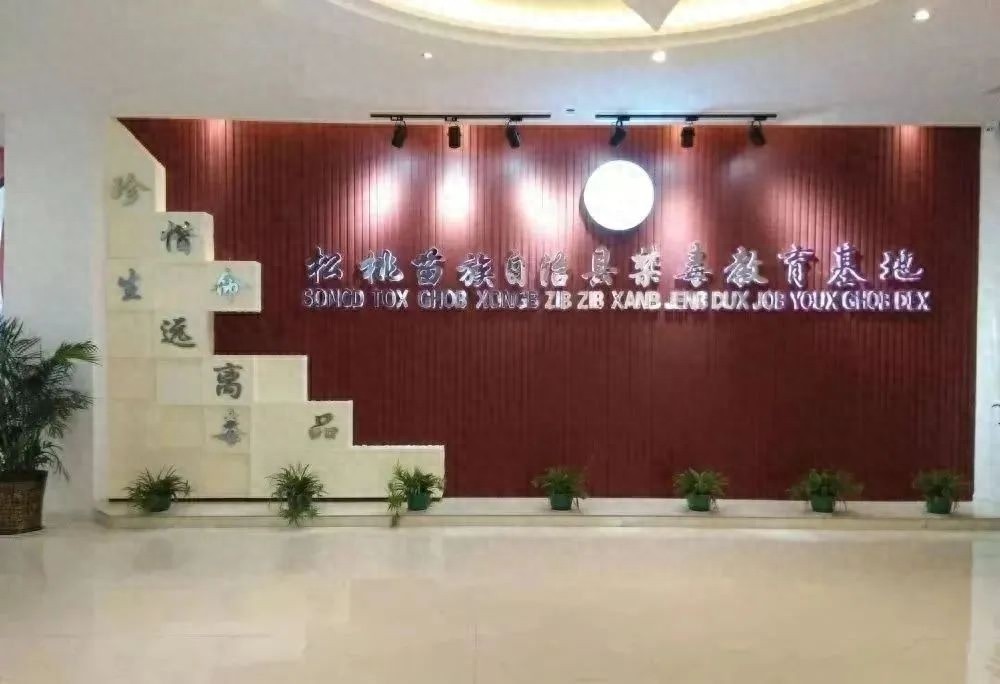 2025年春节放假8天，禁毒教育基地竟然不打烊！你准备好怎么安排了吗？  第1张