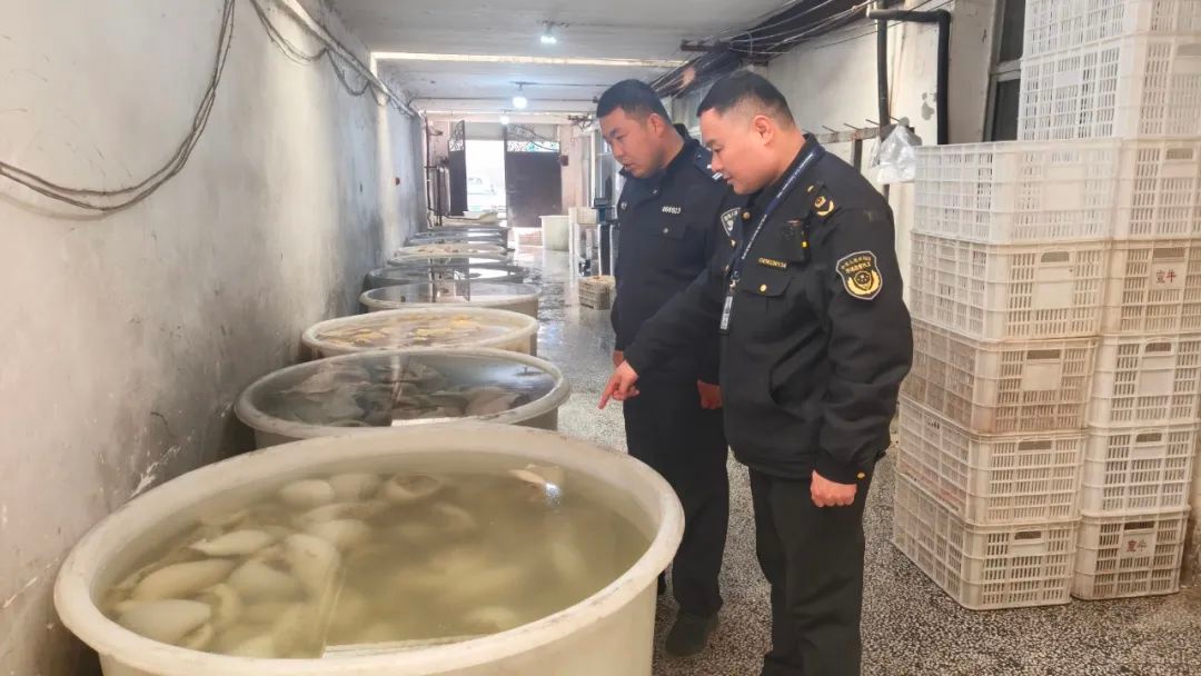 春节临近，蒙城警方如何确保节日平安？高效服务让群众赞不绝口  第6张