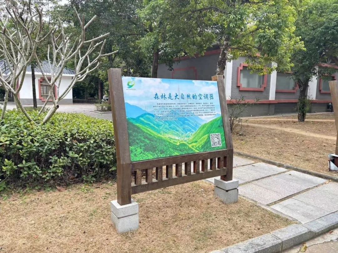 寒假游园新风尚！金鸡岭森林公园的文明游客是如何做到的？  第1张
