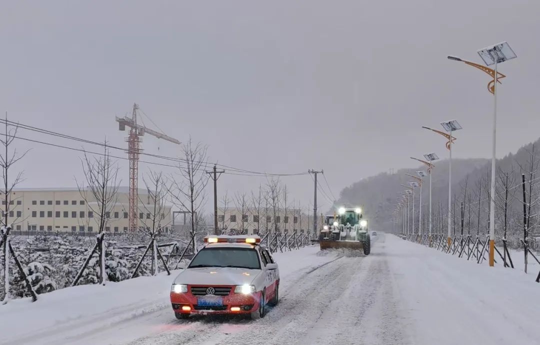 新春大雪阻碍出行！交通运输局未雨绸缪，能否保障市民畅行归家路？  第2张