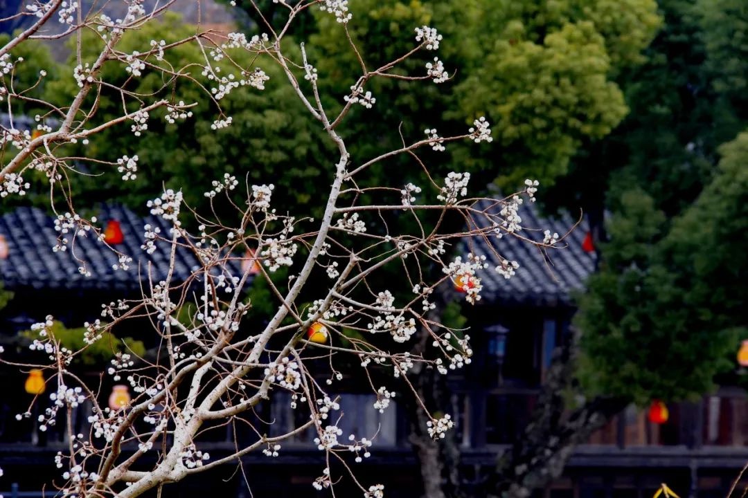 下班路上聊起来！2025年1月27日，你的爱好让生活热气腾腾了吗？  第3张