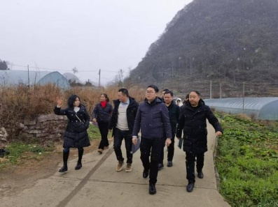 镇宁县森林草原防灭火工作为何如此受重视？督导组突击检查揭晓答案  第2张