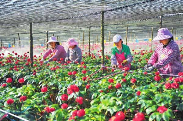云南宏泰新型材料有限公司如何成为千亿级绿色低碳示范园区的强大引擎？