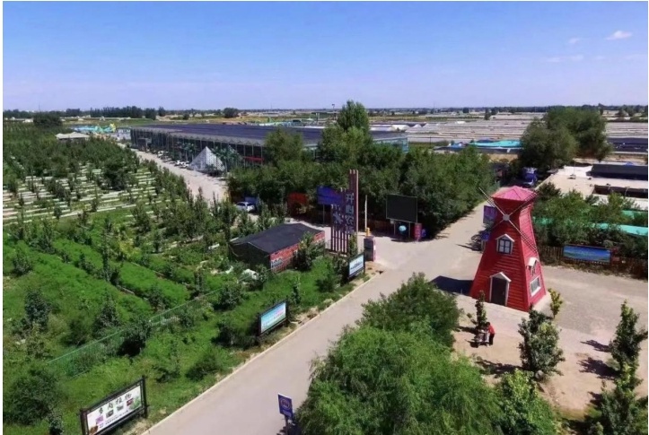 武威研学之旅：你准备好探索荒漠野生动物的秘密了吗？  第2张