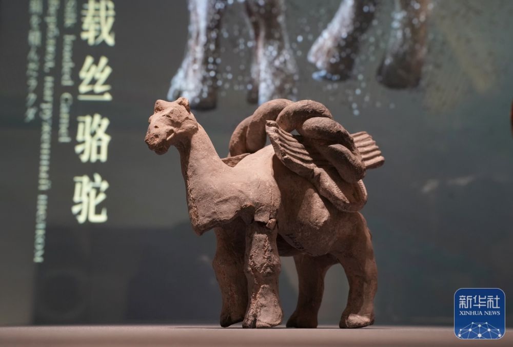 全球首个机场文物博物馆开馆！你敢相信这里藏了多少丝路珍宝吗？  第2张