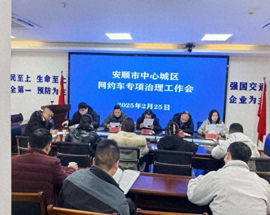 2025年网约车市场大整顿！你的出行安全有保障了吗？  第1张