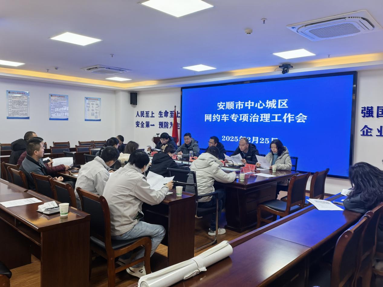 2025年网约车市场大整顿！你的出行安全有保障了吗？  第2张