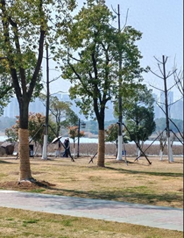 安徽气温剧烈波动！从20℃到骤降16℃，你准备好了吗？