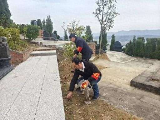春节期间八卦山公墓如何应对1625人次的祭扫高峰？背后细节曝光