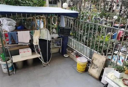信鸽扰民，异味弥漫！嘉兴路街道执法队如何迅速解决居民困扰？  第3张