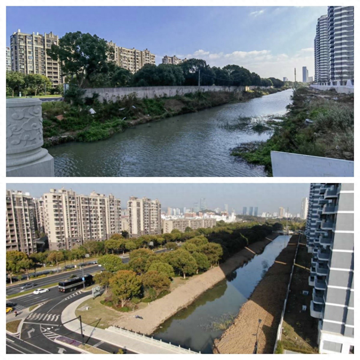 2025年舟山新城大变样！五大重要节点环境整治，你的幸福感提升了吗？