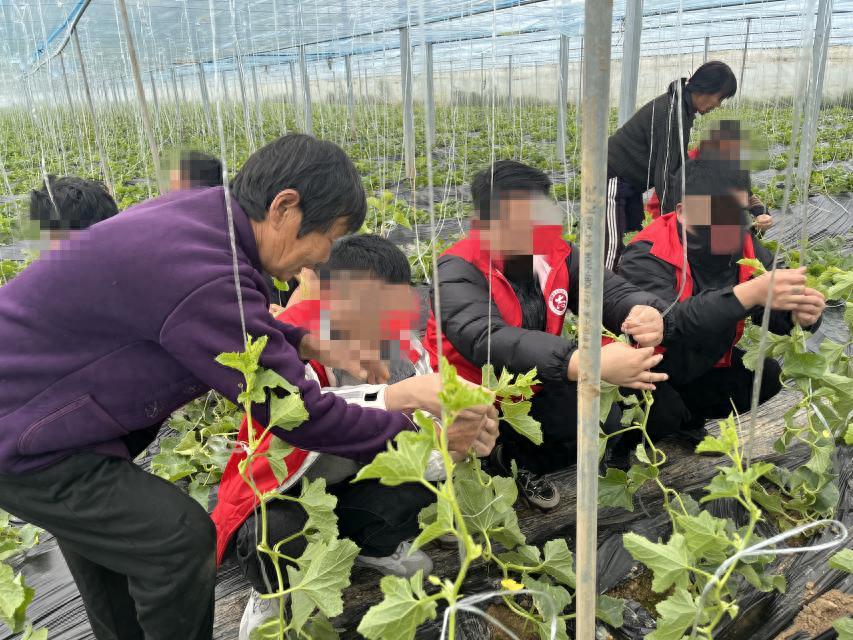 梦想近在咫尺！社区矫正对象的烘焙培训如何改变他们的未来？  第1张
