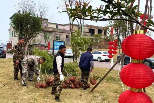 连州市林业局如何用100万元打造绿色奇迹？2.1万株苗木背后的秘密  第1张