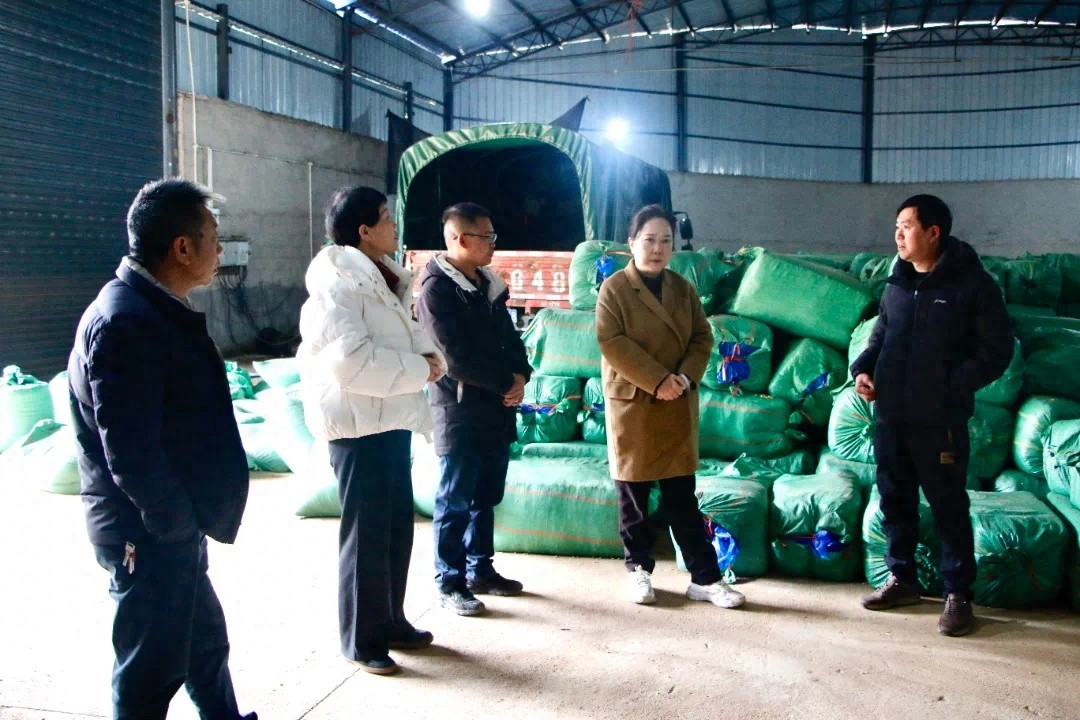 罗平县政协调研揭秘：家门口就业，真的能挣钱顾家两不误吗？  第1张
