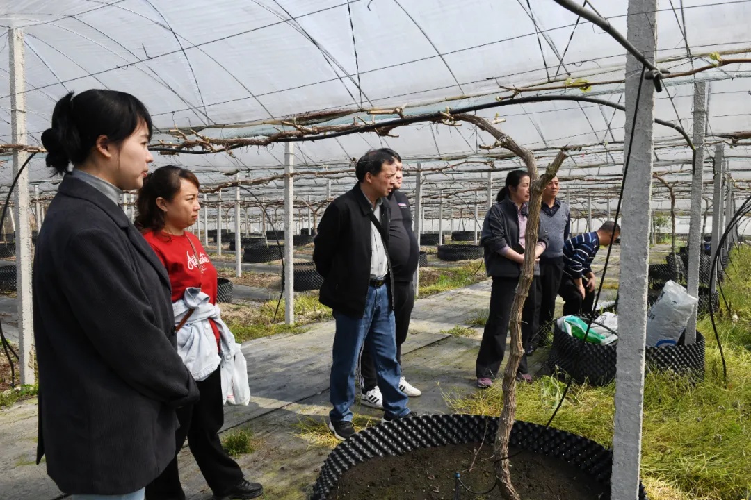 你知道吗？平野村的水资源保护行动正在改变我们的生活  第3张