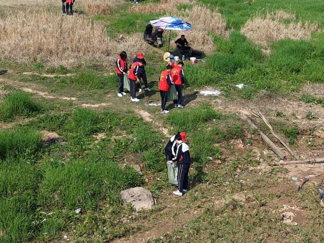 撕毁只需半分钟，复原却要千百倍努力！你还在无视环境破坏吗？  第4张
