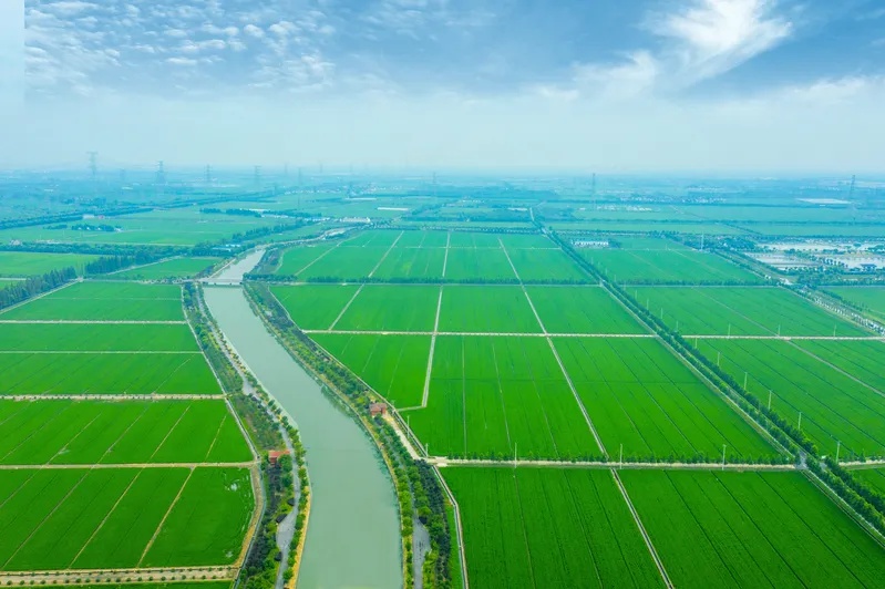 上海水质达标却为何仍显浑浊？市民期待的不只是数字上的清澈  第3张
