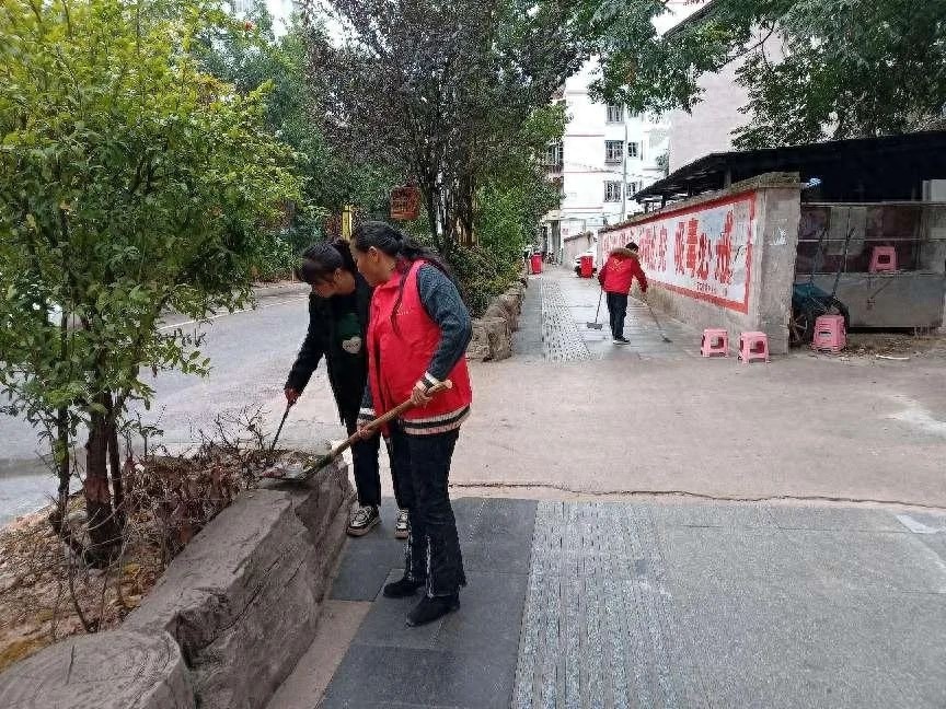台江志愿者如何用行动为生态赋能？揭秘他们的奉献与担当