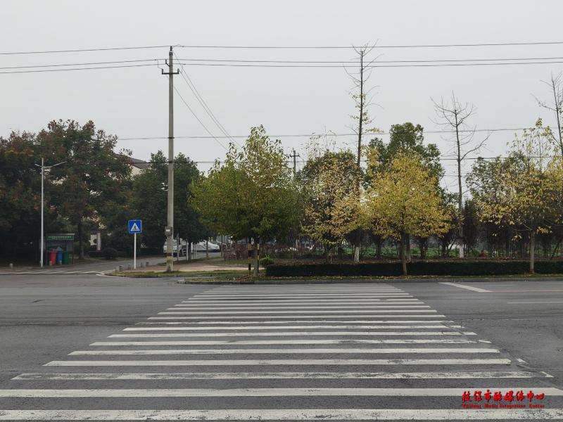 枝江市斑马线被花坛截断，你的出行安全谁来保障？  第2张