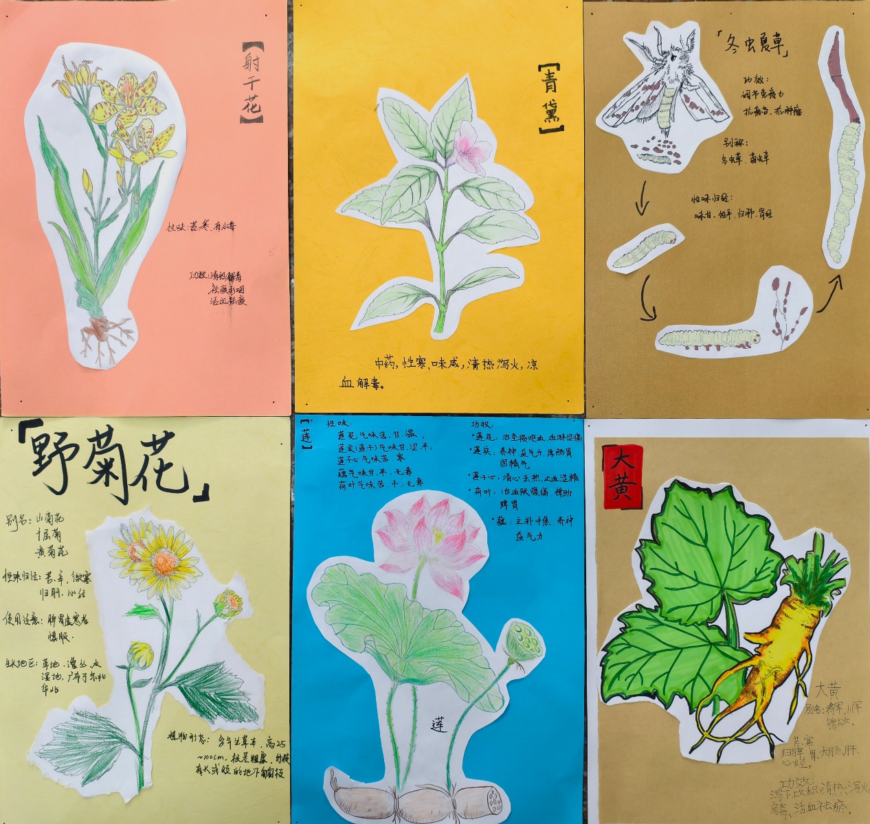 中医药文化如何走进校园？杭州这所小学的做法令人惊叹  第4张