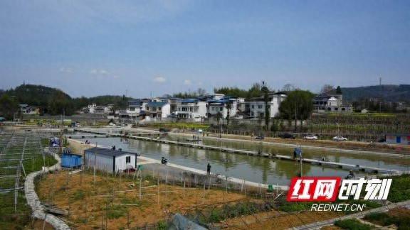 春钓湘西渔缘，你准备好感受自然与垂钓的双重魅力了吗？