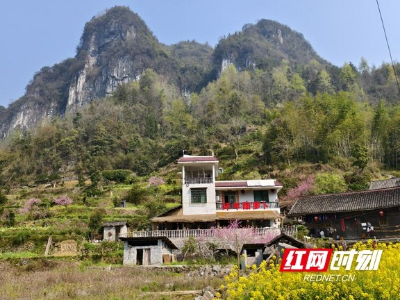 清晨六点，首班12路公交为何载满希望和温暖？揭秘乡村振兴的绿色通道  第3张