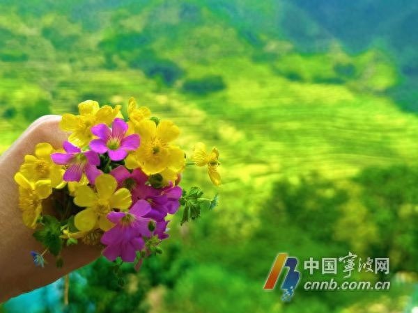 宁波天气大反转！晴好仅半日，暴雨又将袭来，五一高温34℃你准备好了吗？