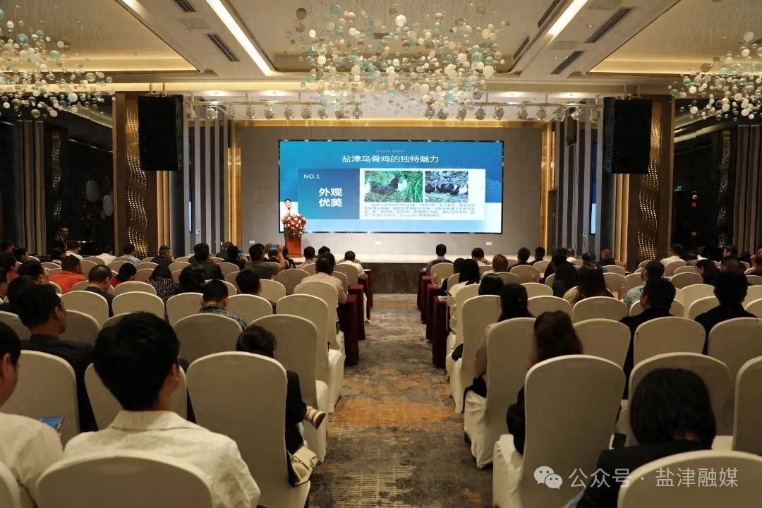 盐津乌骨鸡走进重庆！600人共襄盛举，乡村振兴新引擎如何引爆市场？