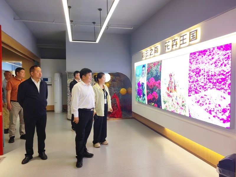 姚安花卉产业迎来重大突破！这家企业为何如此青睐姚安？  第4张
