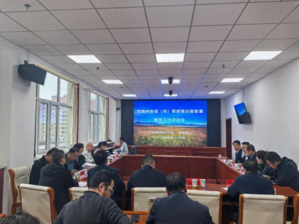 甘南州草原载畜量核定会议召开！专家团队如何科学评估未来生态平衡？