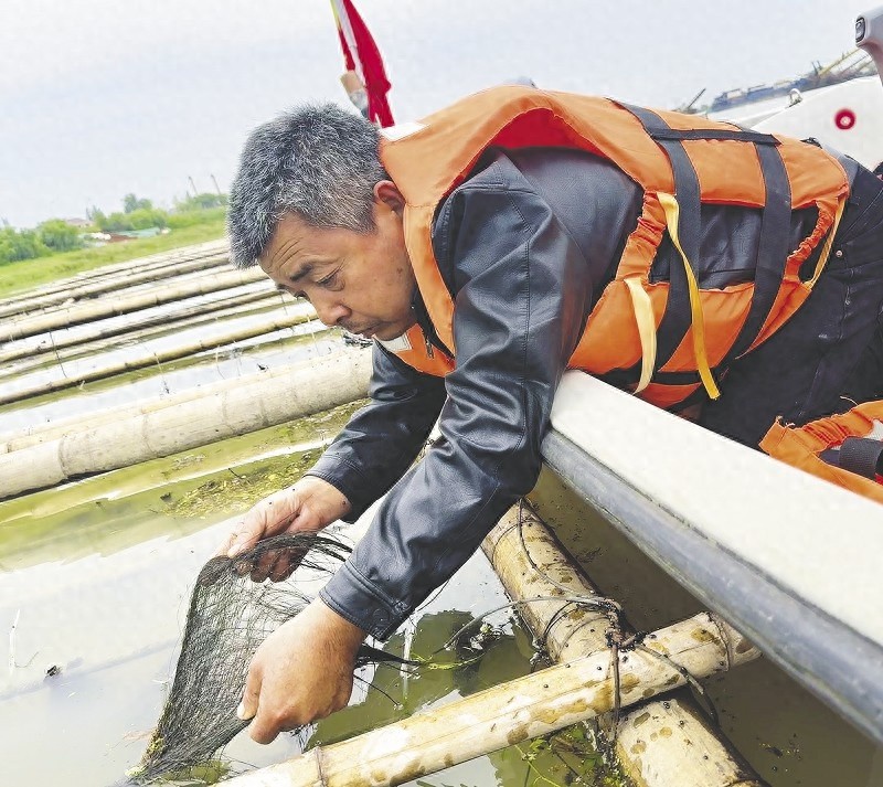 从捕鱼人到护鱼人，蔡朝辉30年江上生涯为何迎来华丽转身？  第1张