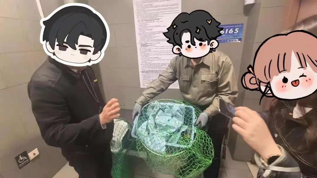 地铁6号线惊现三色小猫！工作人员与它上演十余次捉迷藏，结局如何？  第4张