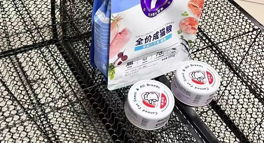 北京地铁6号线惊现三花小猫！工作人员多次救助却上演捉迷藏？  第2张