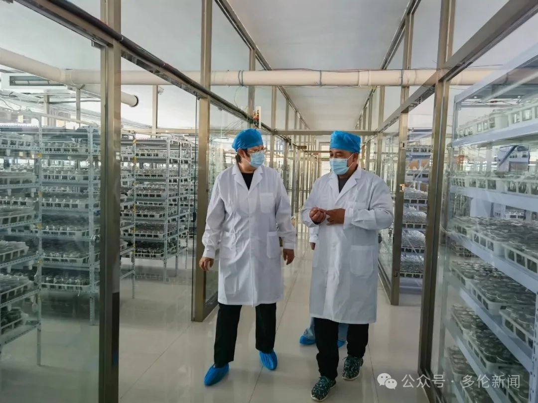 多伦县联社四级联动织密金融惠民网？实地走访化解融资难题  第4张